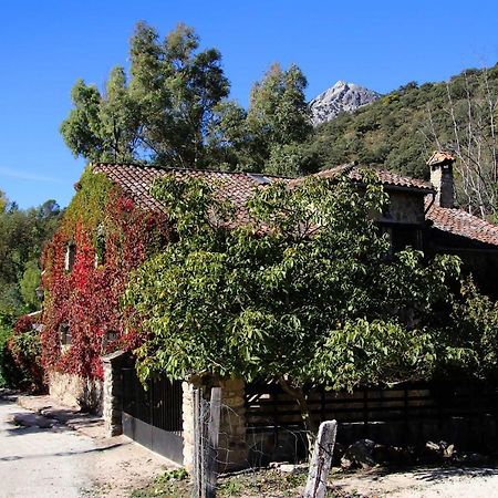 Molino Rodete Vendégház Jimera de Líbar Kültér fotó